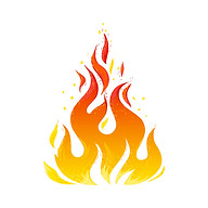 The Wood Fired Grill logo