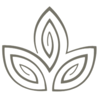 Dolce Vita Wellness Spa logo