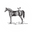 Pittsboro Feed logo