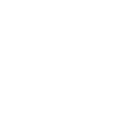 Newman & Co. logo