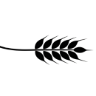 Locals Tavern logo