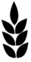 Compassion Church - Suffolk logo