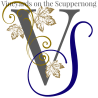 Vineyards on the Scuppernong logo