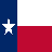 Texas Auto Center logo