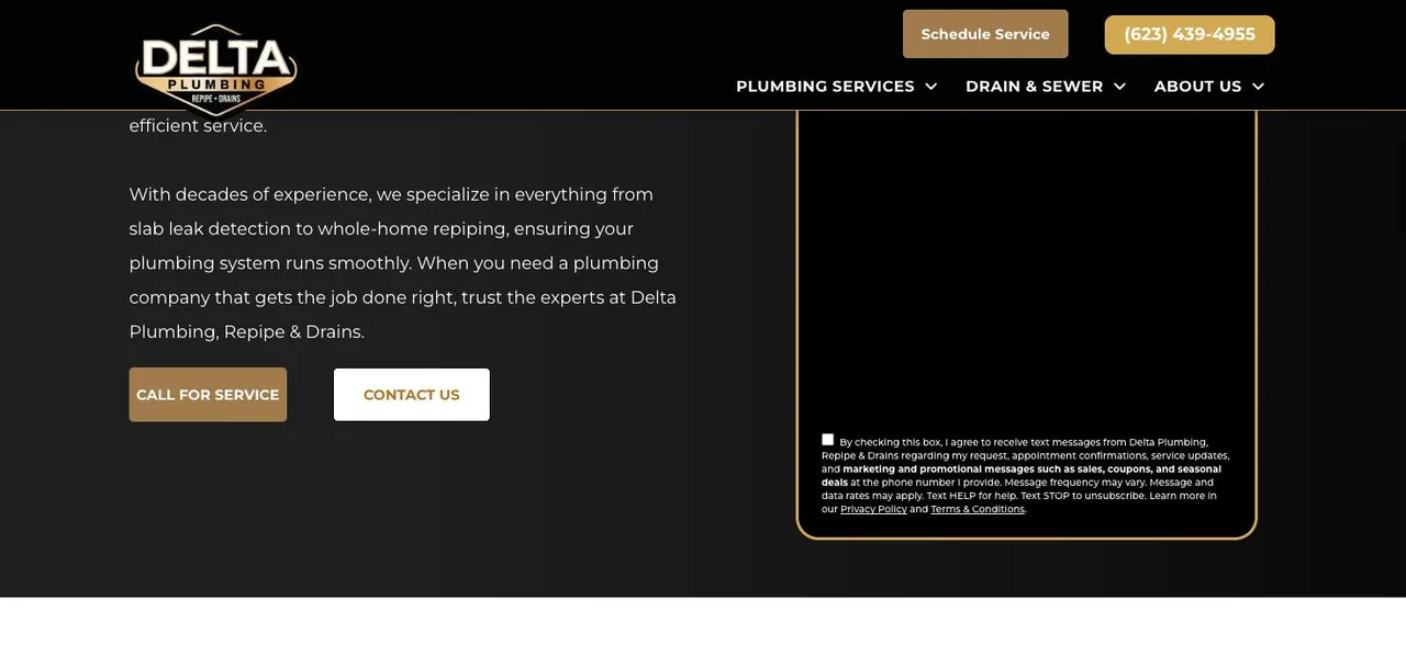 Delta Plumbing, Repipe & Drains cover