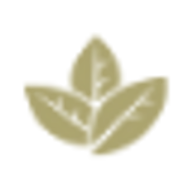 Tobacco Road Sports Cafe logo