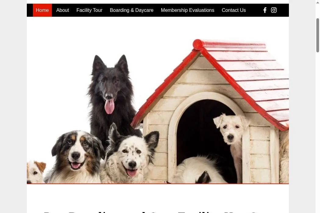 DogConnectionPDX LLC cover