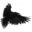 ravensecuritygroup-us logo