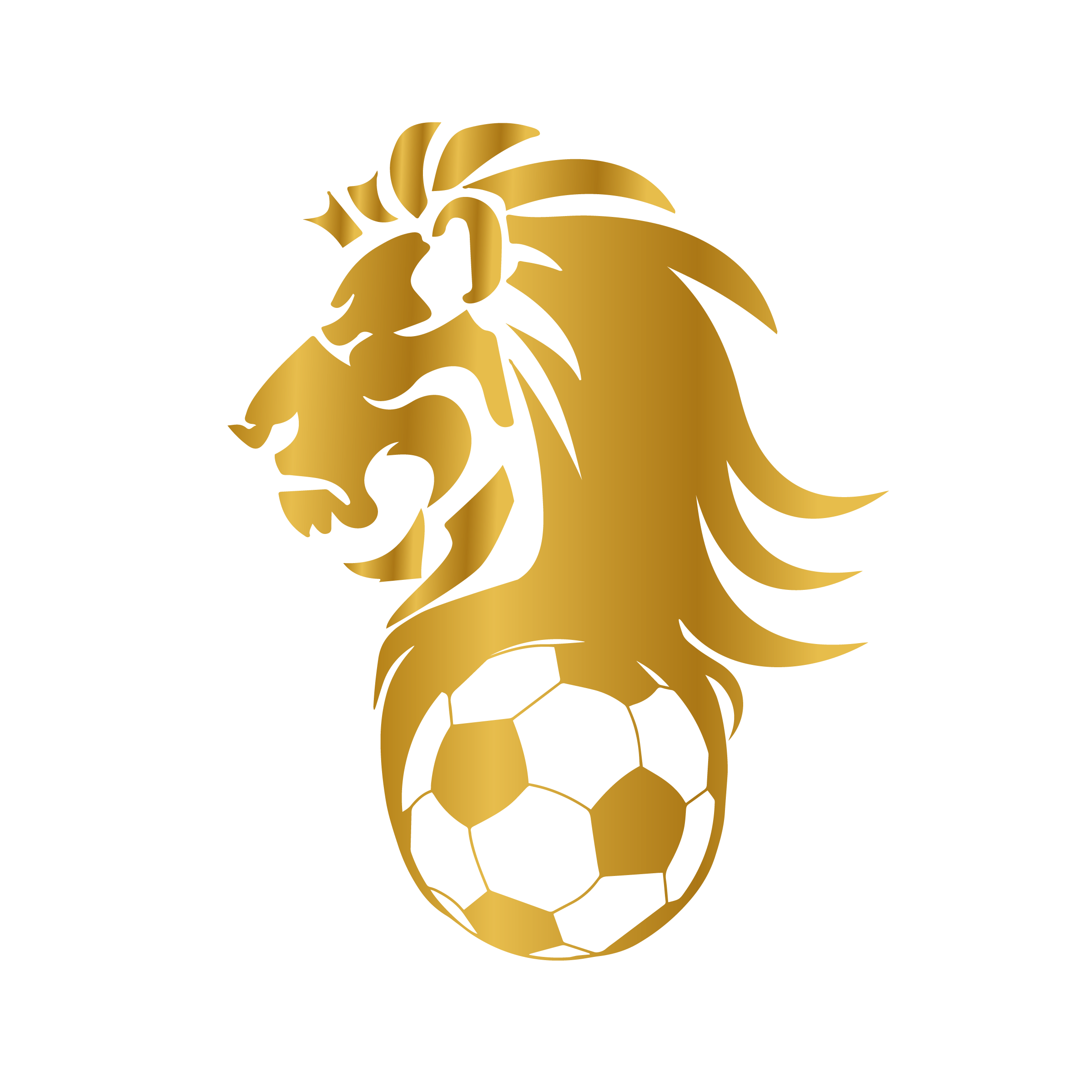 The Player Lab logo