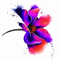 Orchid Thai Spa logo