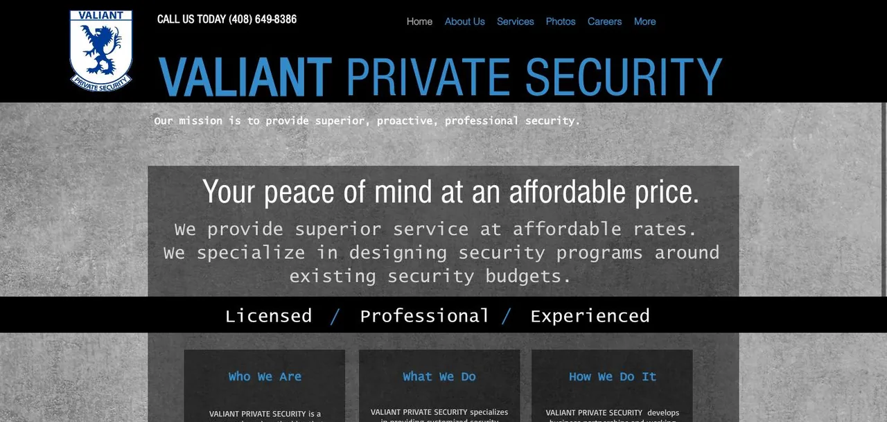 VALIANT PRIVATE SECURITY cover