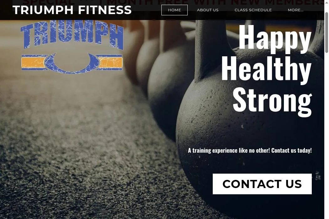 Triumph Fitness cover