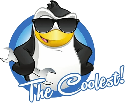 The Coolest Service LLC logo