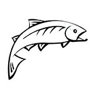 Sunburst Trout Farms logo