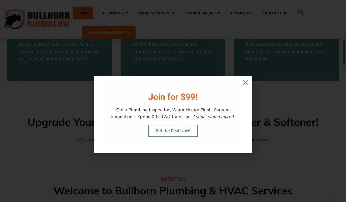 Bullhorn Plumbing cover