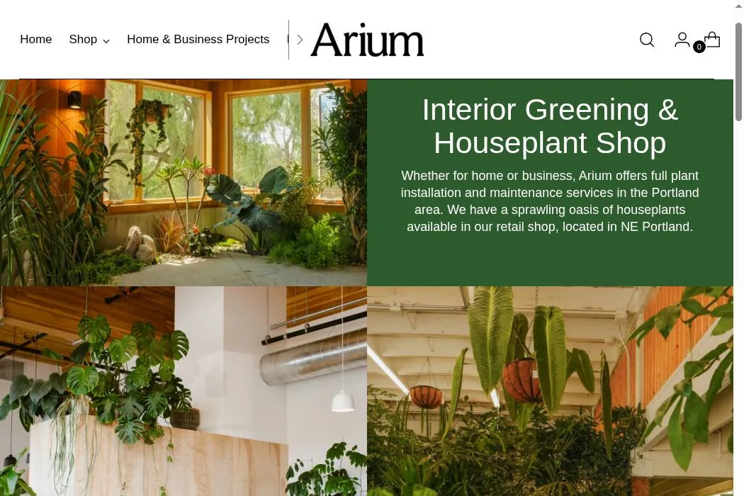 Arium Botanicals cover