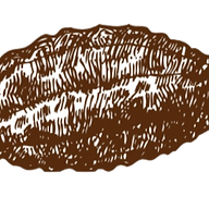 AVL Chocolate logo