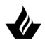 Vibrant Church logo