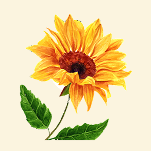 The Sunflower Bakery and Cafe logo