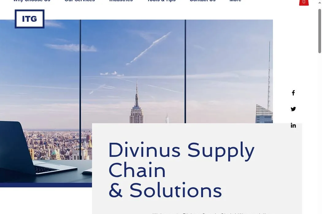 Divinus Supply Chain & Solutions cover