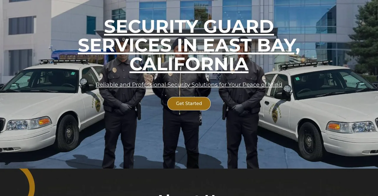 Alpha Patrol Security cover