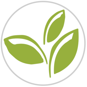 LooXo logo