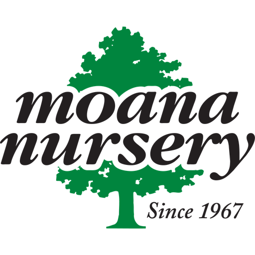 Moana Nursery logo
