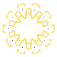 Shine Salon Spa logo