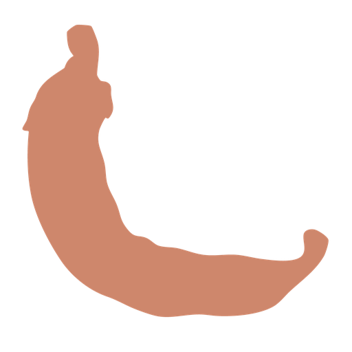 Chulas Cafe & Cantina logo