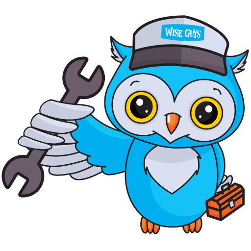 Wise Guys Heating and Cooling logo