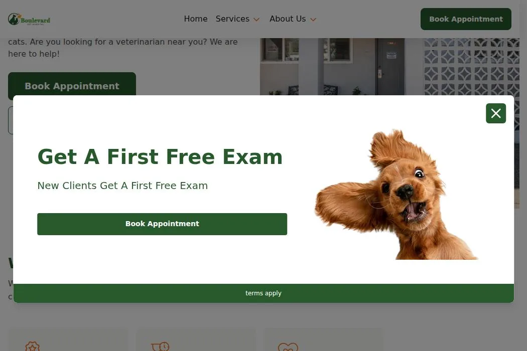 Boulevard Pet Hospital cover
