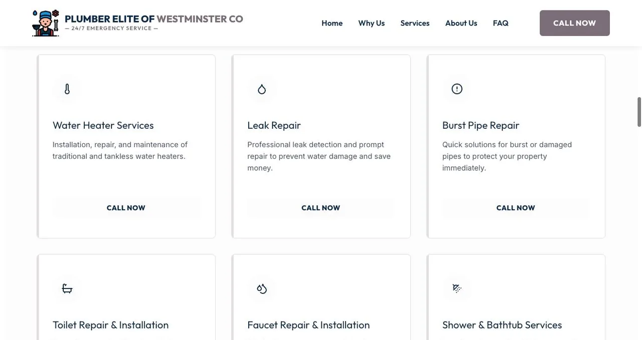 Plumber Elite Of Westminster CO cover