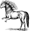 Ponysaurus Brewing Co. logo