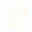 BosBeauty logo
