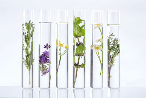 bloomclinicalskincare-com logo