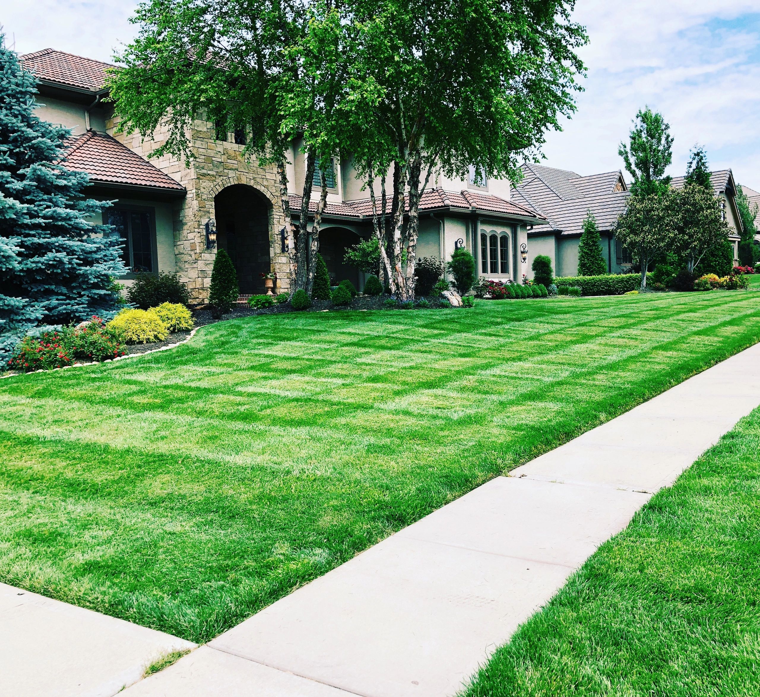 Ramey Lawn & Landscape LLC logo