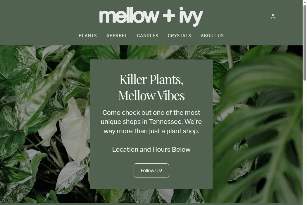 Mellow + Ivy cover