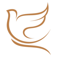Amani Health & Wellness logo