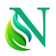 New Life Church Loudoun logo