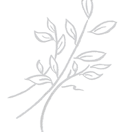 Wild Thyme Gourmet logo