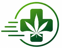 MJ Medical Delivery logo