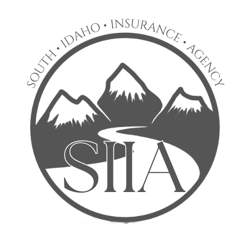 Jimmy John South Idaho Insurance Agency logo