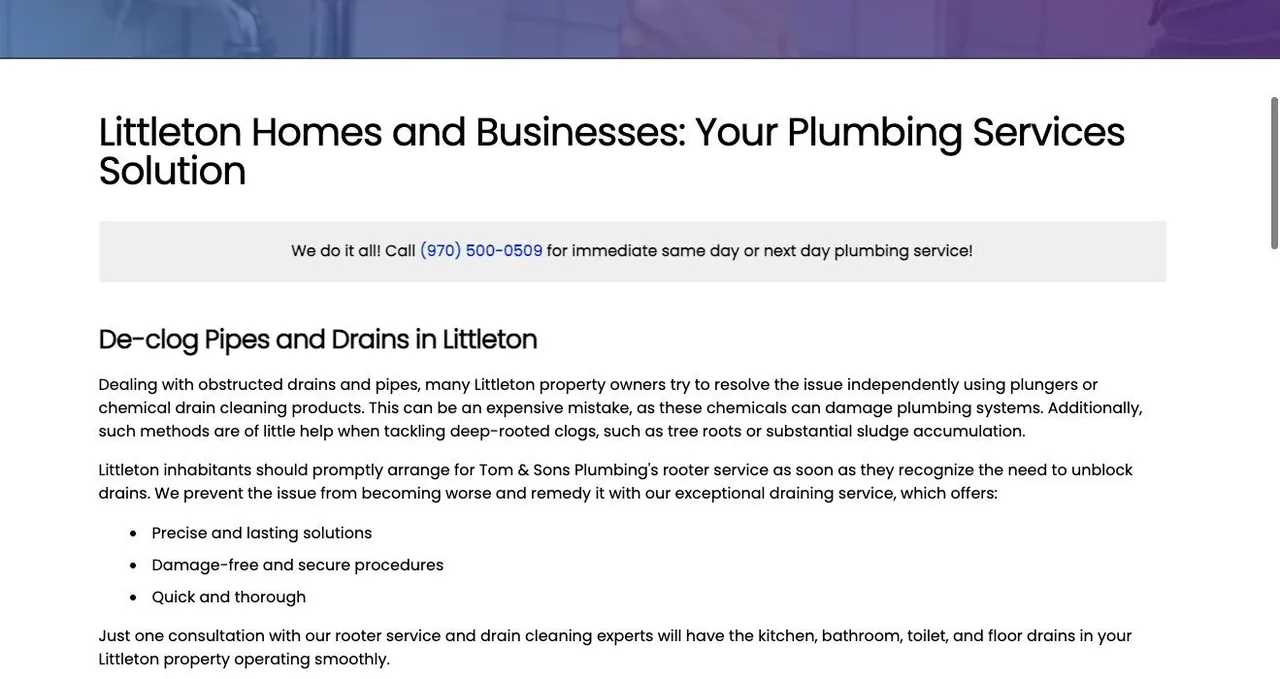 Tom & Sons Plumbing cover