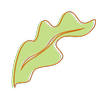 Foster's Market logo