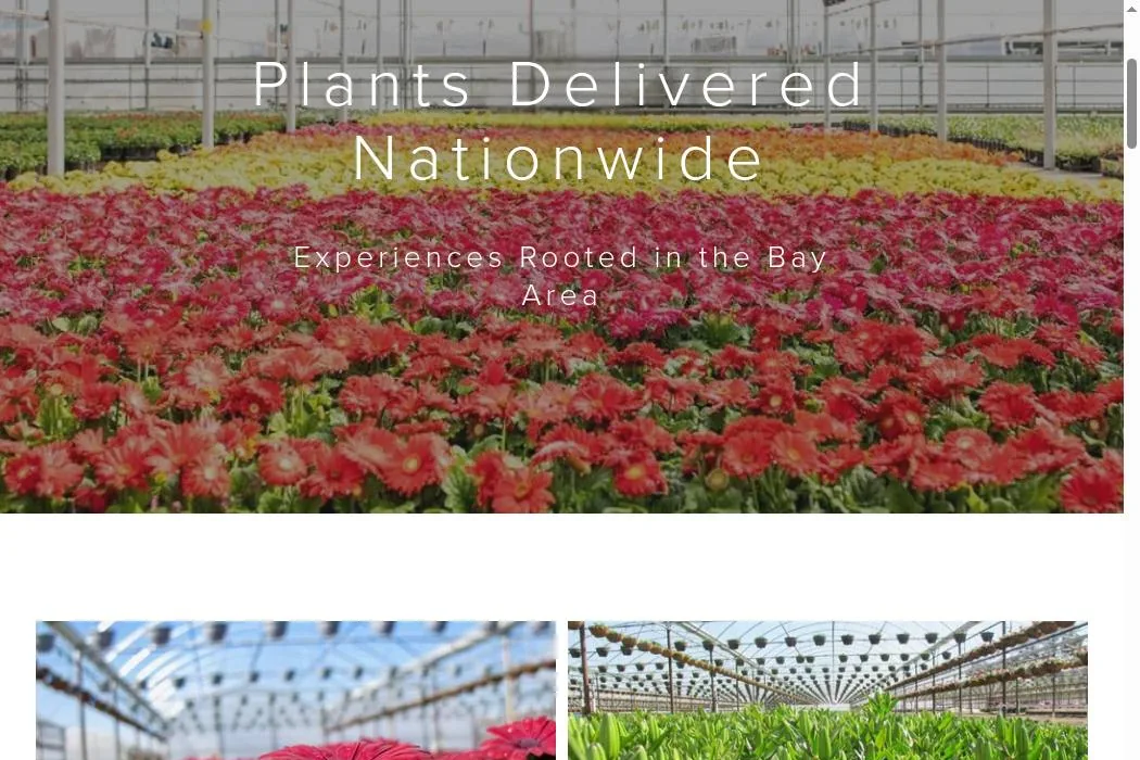 Plants by Post cover