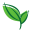 basilicomiami-com logo