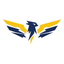 Thunderbird Electric Home Services LLC logo