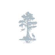 Salt & Cypress logo