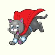 The Cat Heroes logo