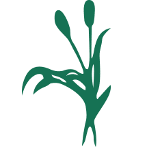 Peabody Landscape Group logo